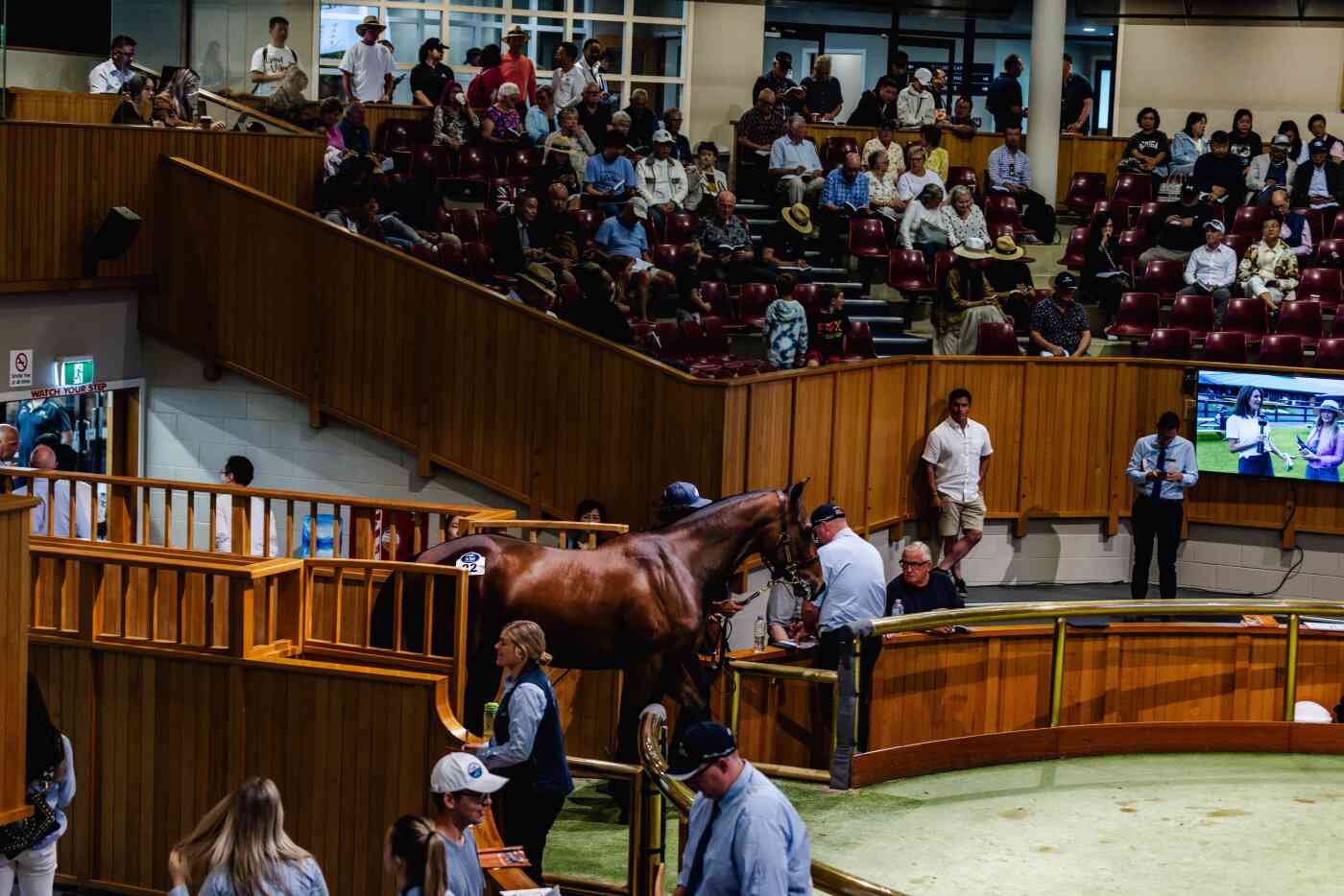 Pinhook Tables - NZB Ready To Run Sale