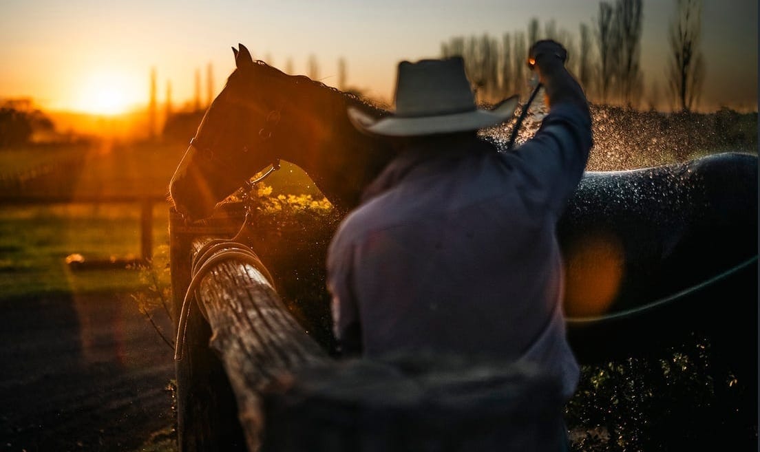 ‘It’s kept me occupied and off the streets’ - Shamus Award’s breeder Bob Hannon puts Hawkesbury farm on the market