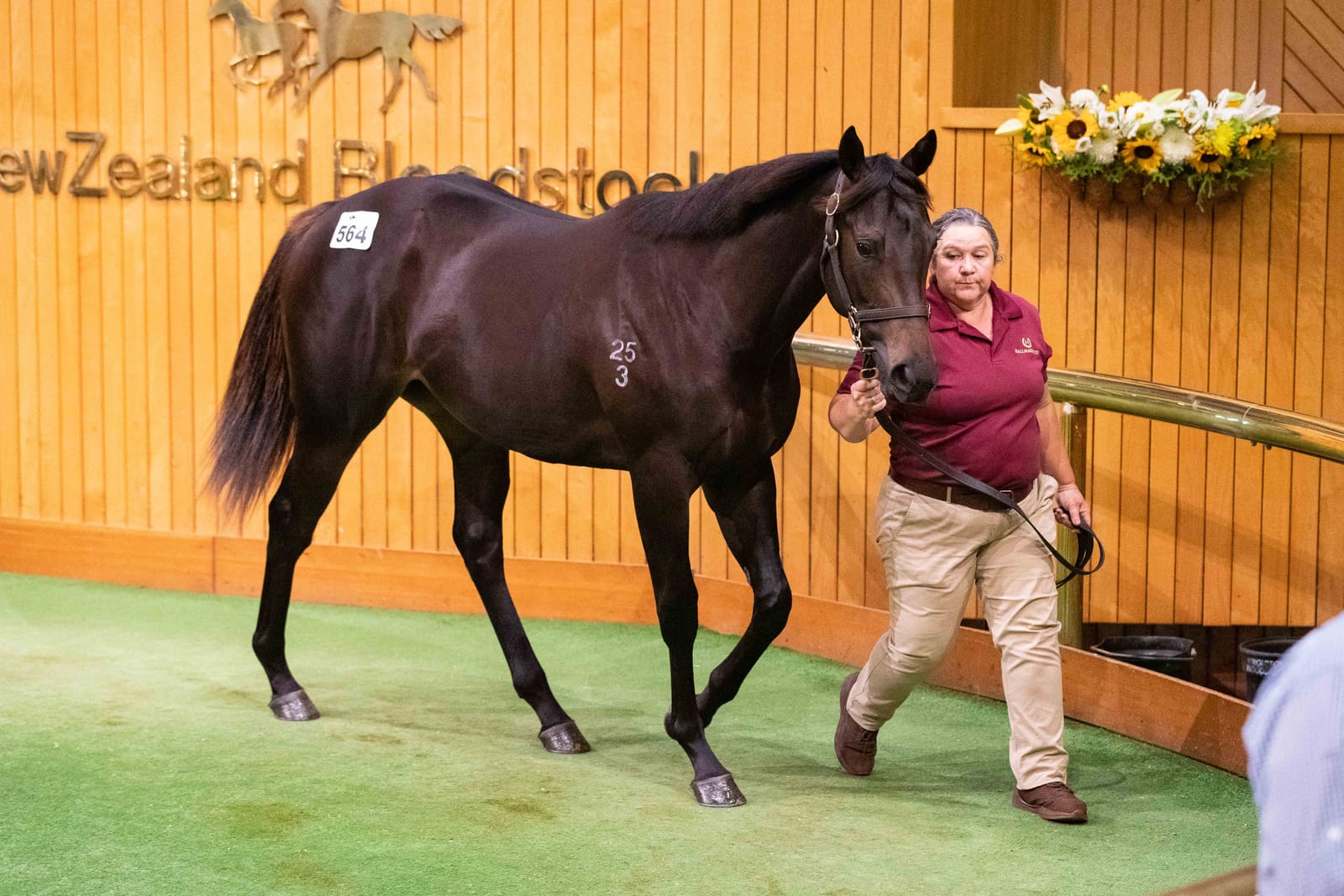 Another Karaka million - Prowess’ trainer snaps up seven-figure sister