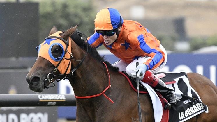 La Dorada extends Te Akau Racing Karaka Millions 2YO dominance