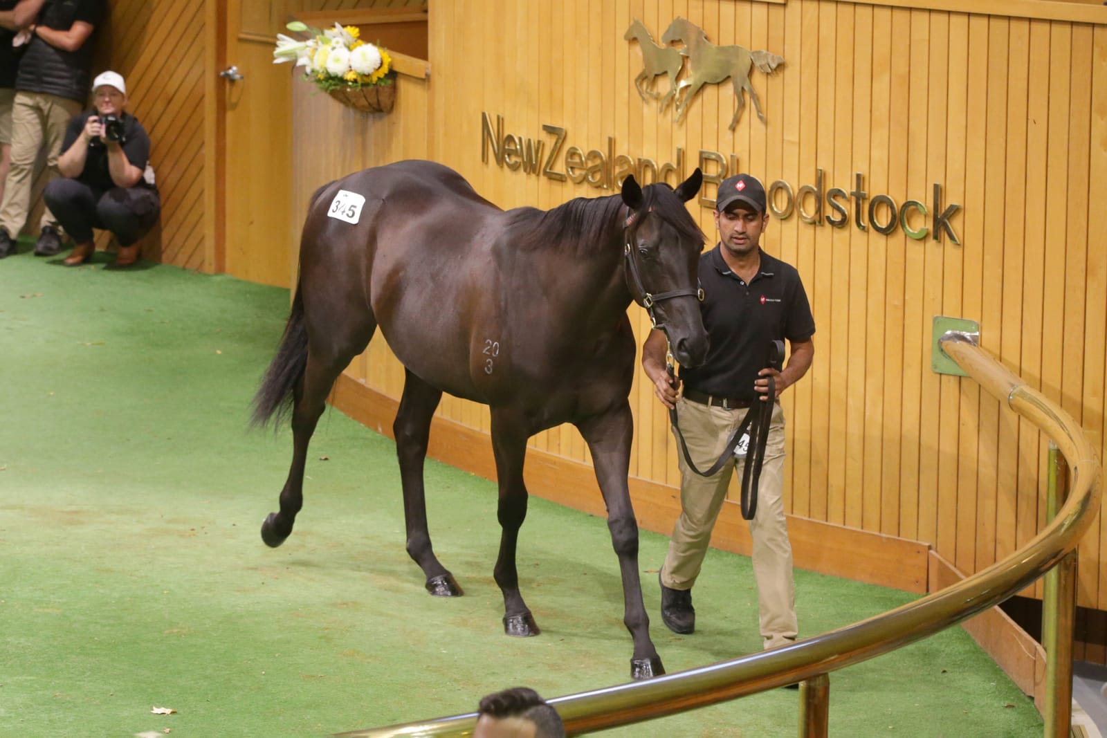 Eye-catching filly on song - Savabeel sister to Orchestral sets Karaka record