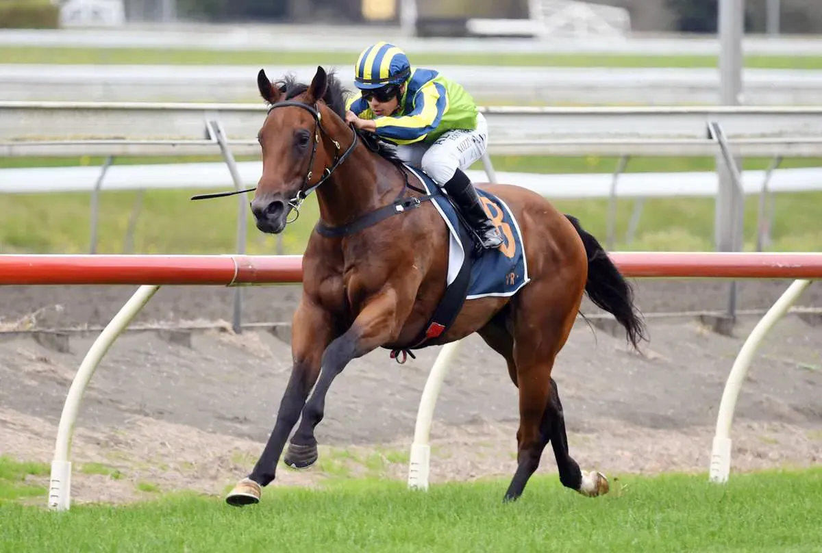 Andrew Forsman chasing second Karaka Millions 3YO title