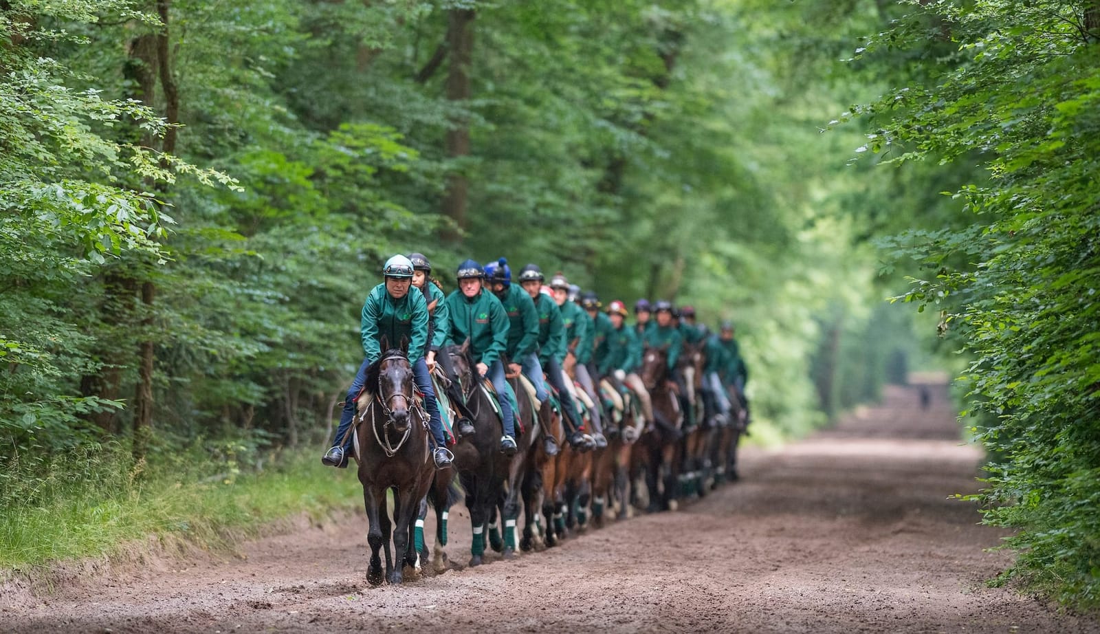 ‘Playing chess with nature’ - How the Aga Khan changed the global thoroughbred industry