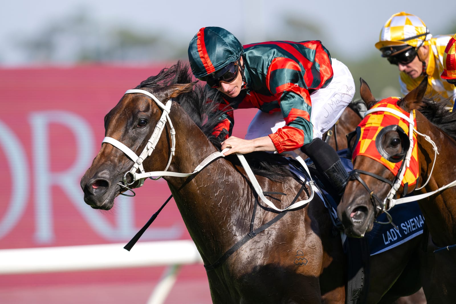 Run The Numbers - Snitzel and his daughters