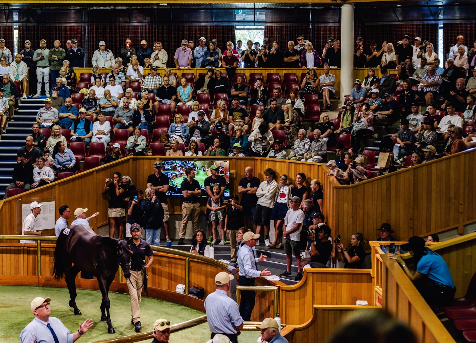 Straight Shorts - Tuesday May 6 - A Karaka shake-up, Tabcorp's live play, Frankie goes to Stake, Tarzino leads Westbury roster