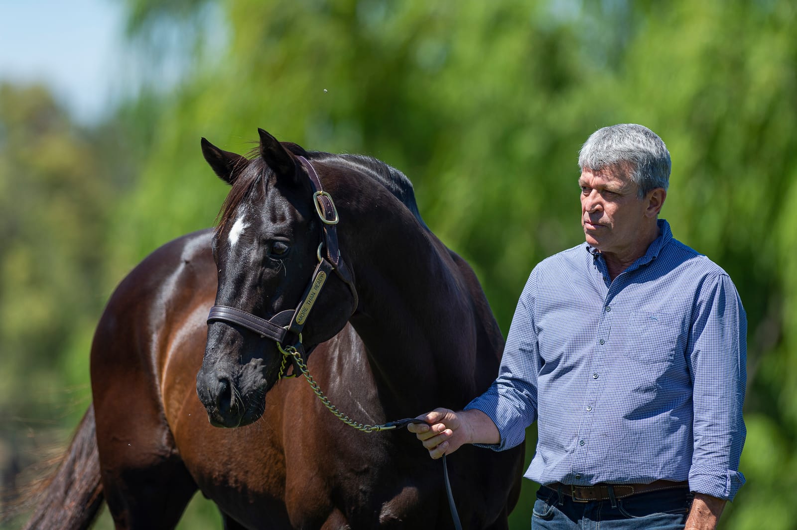Orton does it his way - long-serving Vinery general manager steps away from leading Hunter Valley stud