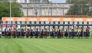 The government report which could change the face of wagering in Australia