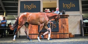 What will be the five biggest stories in breeding and bloodstock in 2024?