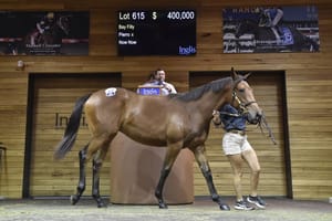 Yulong, Rosemont stallions feature prominently in Premier Sale catalogue