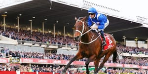 Winx's filly highlights upsized Easter Sale catalogue