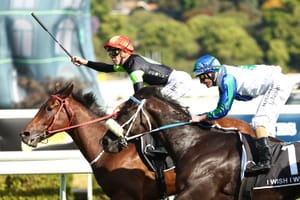 The hits and misses for Australian horses in 2023 global rankings