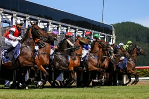 How a stalled $4 million project divided New Zealand and Australian racing authorities