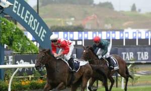Run The Numbers – Savabeel over O’Reilly broodmares an unmatchable Waikato Stud formula for success