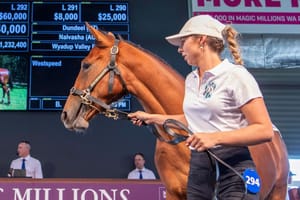 Run The Numbers – The hole in the Australian yearling market