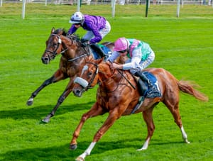 Cambridge Stud to stand Group 1-winning son of Frankel, Chaldean
