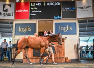 Easter sale hits new heights thanks to record-breaking fillies