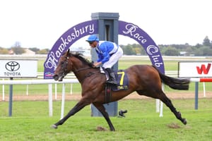 Hawaii Five Oh retired, added to Vinery Stud stallion roster