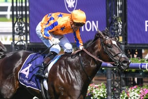 Magic Millions wins race to auction retired sprinting star Imperatriz
