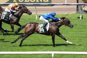 Newmarket winner Cylinder retired, set to stand for Darley in Victoria