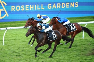 Racing NSW boss V’landys weighs in on controversial Rosehill project
