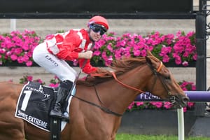 Coolmore wins bidding war to secure VRC Oaks winner for $3.4 million