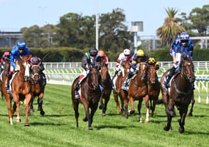 All-Star future remains unclear as Racing Victoria releases 2024/25 race dates