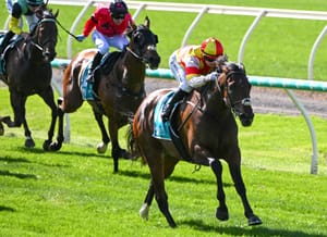 Tracked - The Saturday Racing Review - May 4