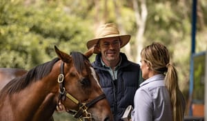 Weanling sales - the art of getting ahead of the game