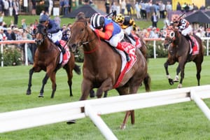 Tracked - The Saturday Racing Review - June 29