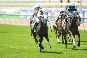 Tracked - The Saturday Racing Review - June 1