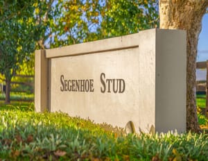 Who could buy Segenhoe Stud? The $40 million question