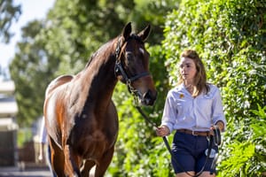 Riverstone Lodge filly leads final-day buying at Magic Millions National Yearling Sale