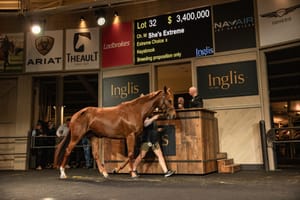 Run The Numbers - The divided state of the Australian broodmare market