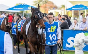 Sportsbet spreads South Australian racing sponsorship hold