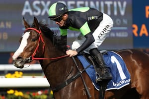 In Flight follows a Proven path for Hunter Valley breeder and leading syndicator