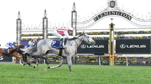 Run The Numbers – Sire dynasties built on Flemington’s straight