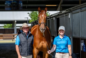 Half to Hungry Heart highlights Inglis Ready2Race Sale catalogue