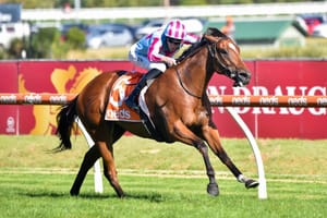 Arrowfield snaps up Marabi for $2.4 million