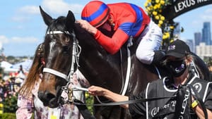 ‘Crikey, a Melbourne Cup horse was bred here ... that’s cool’ - Final chapter still to come for Zed