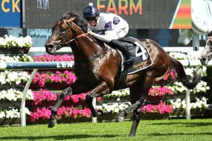 ‘Slipping through the cracks’: Caballus’ journey to Group 1 racing