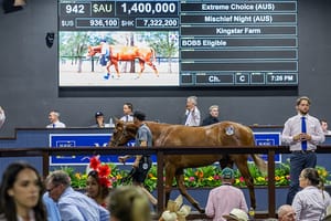 Saturday night out - Magic Millions ditches post-races evening sale session