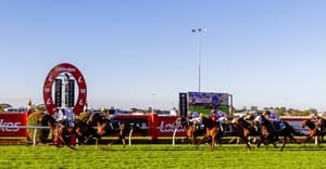 As you were at Brisbane Racing Club as Bell confirms exit plans