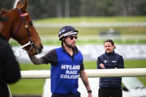 ‘I don’t grieve that it’s over’ – Nick Hall’s wild ride from Caulfield to Costa Rica and back again