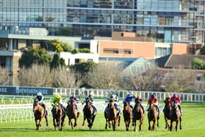 National restructure looms after explosion in NSW spring black-type races