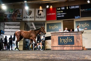 Special seven-figure filly sets Australasian record at Inglis Ready2Race Sale