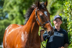 A tale of two owners as Justify youngsters steal show at Magic Millions