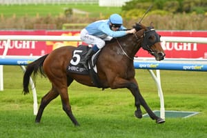 Million dollar result at Keeneland for former Griffiths-de Kock-trained Let’sbefrankbaby