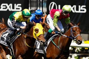 Australian opportunity highlighted as one in every 132 horses surpasses $1 million