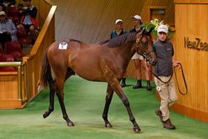 New alliance - Freedman and Coolmore team up on $725,000 Wootton Bassett colt