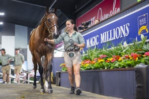 From top buyer to a leading vendor - Yulong switches sides and nets $1.8 million return on Away Game filly